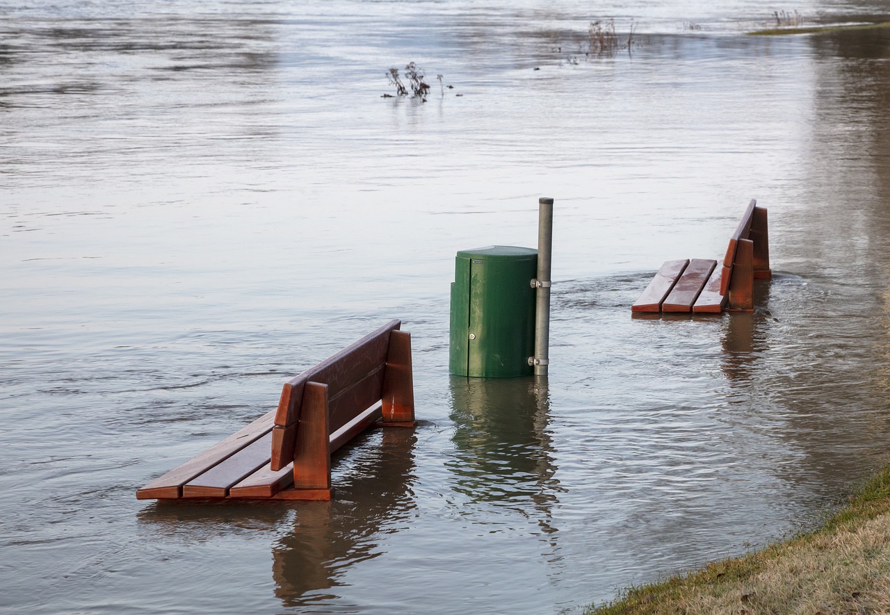 Speeding, Gritting, Stinking and Flooding