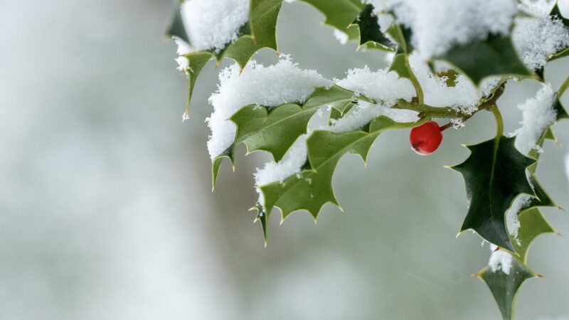 December need not be dreary