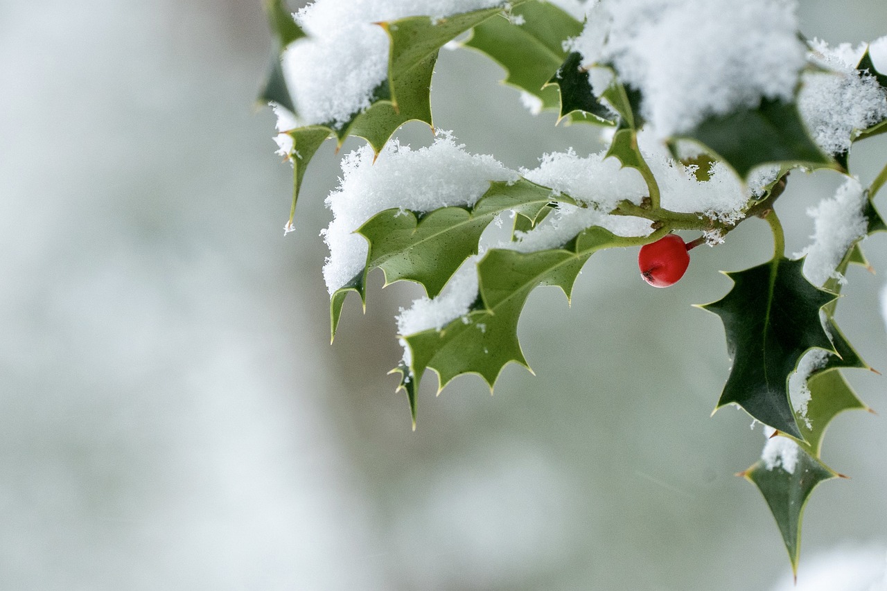 December need not be dreary