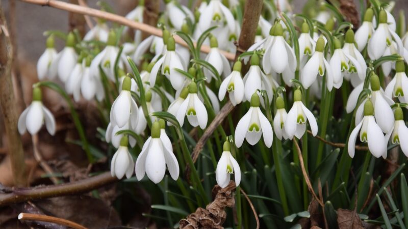 The End of Winter
