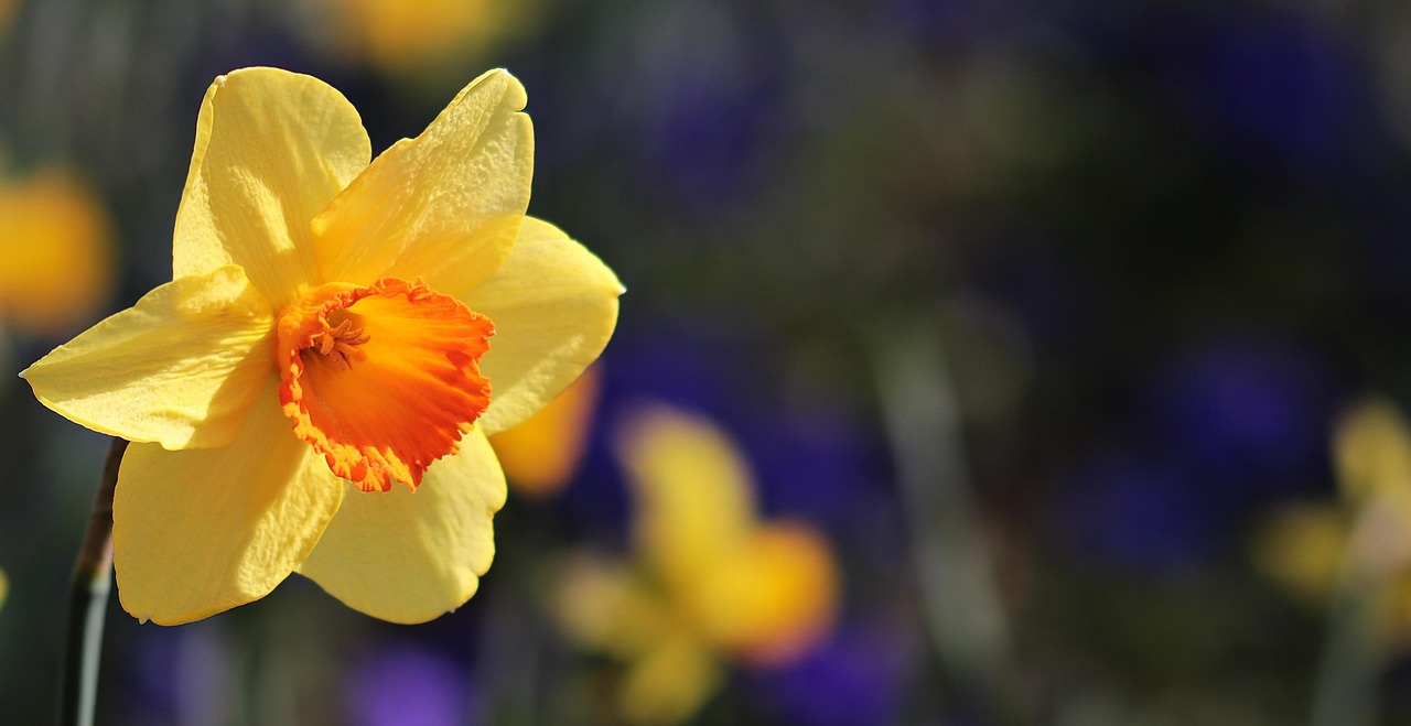 Mothering Sunday