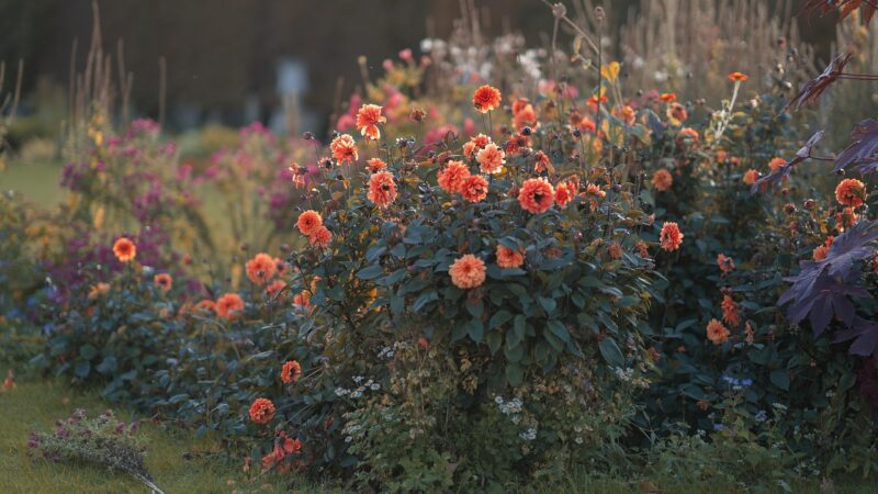 Making green fingers even greener