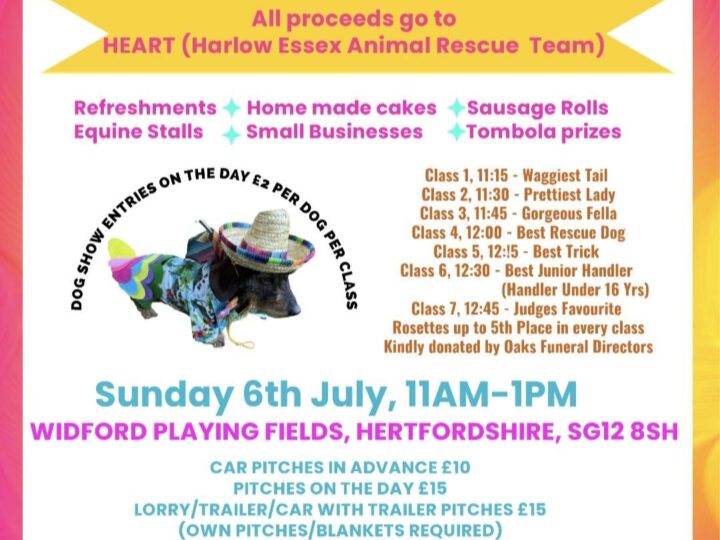 Equine Bootsale and Dog Show