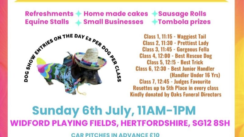 Equine Bootsale and Dog Show
