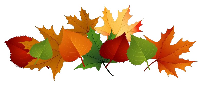 Autumn leaves decorative design.