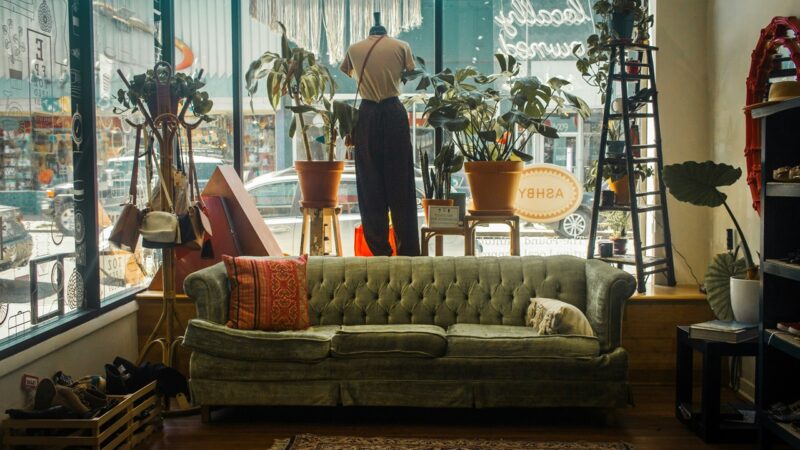 St Clare Hospice Launches Urgent Appeal for Furniture Donations as Summer Drop Hits Stock Levels