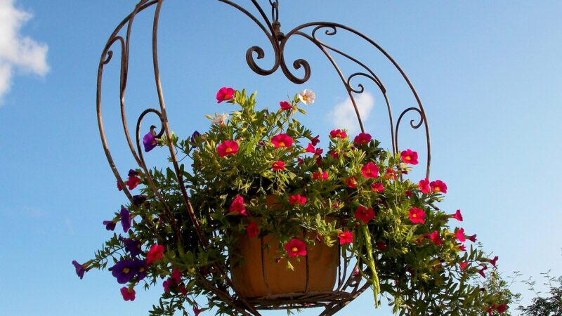A Busy Summer for Gardeners