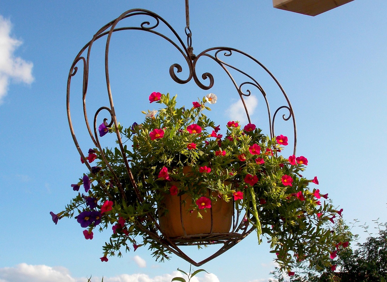 A Busy Summer for Gardeners