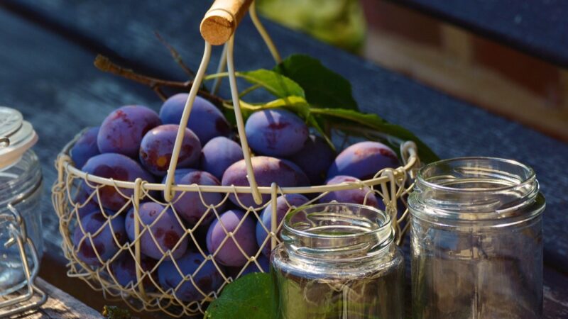Plum Jam Recipe
