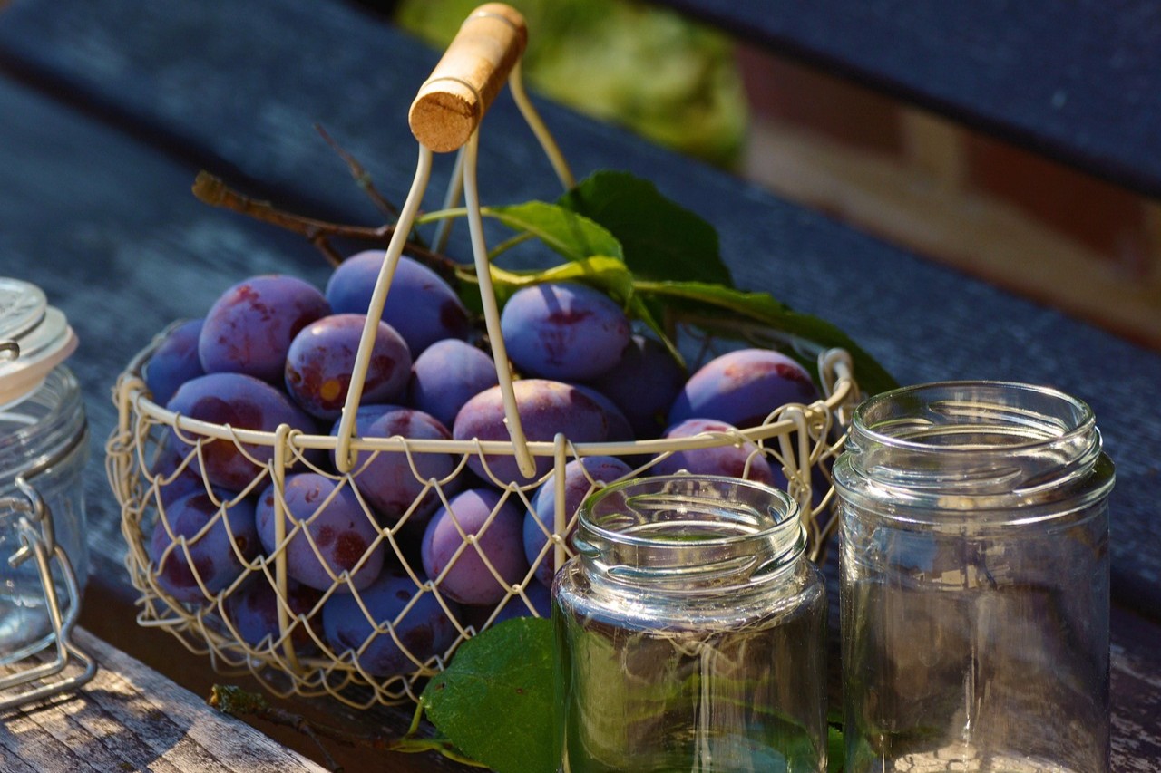 Plum Jam Recipe