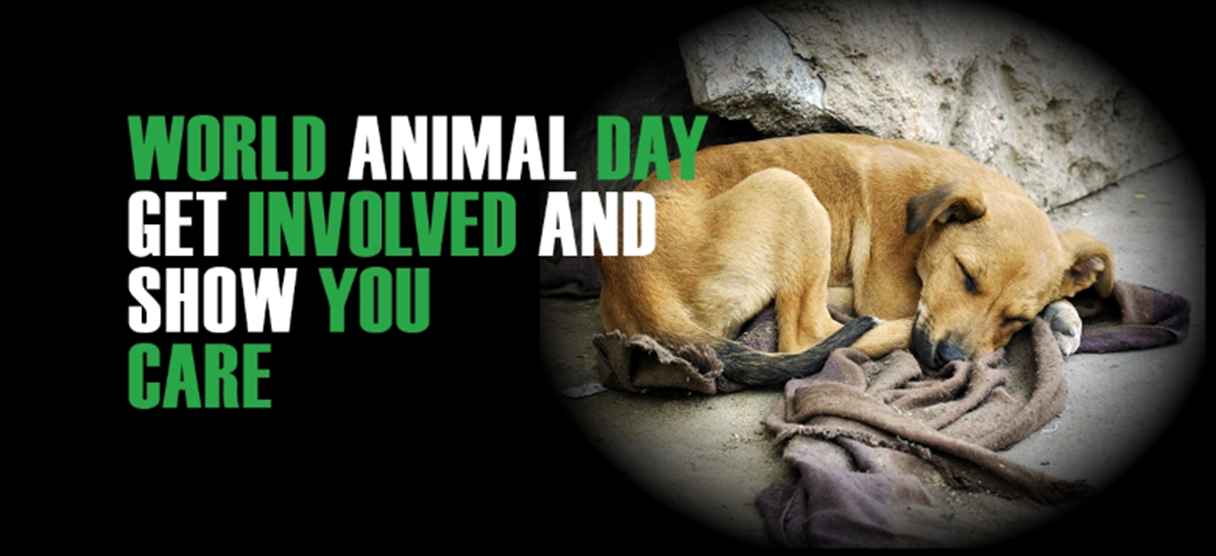 World Animal Day graphic.