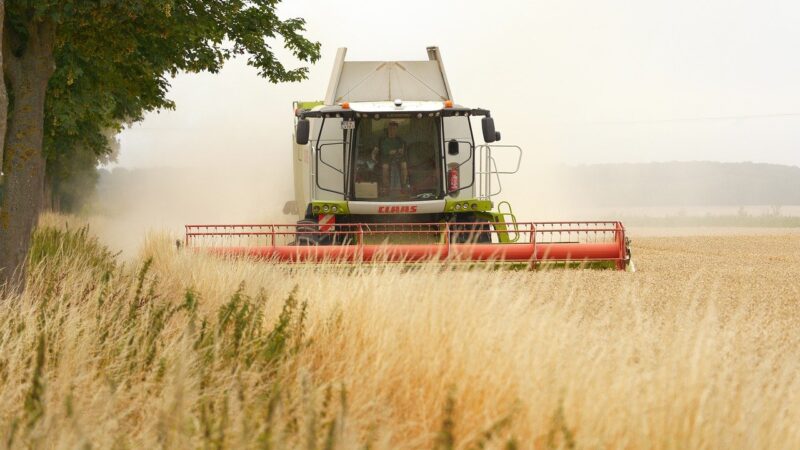 Thoughts on Harvest