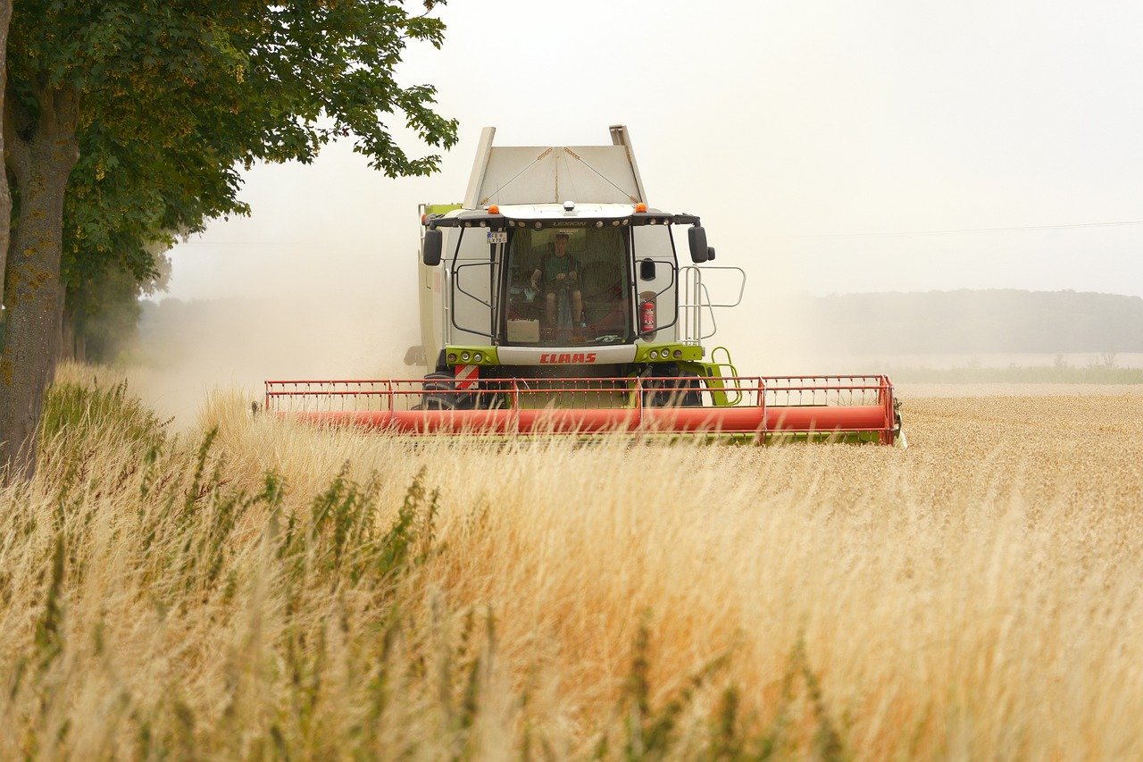 Combine harvester in action.