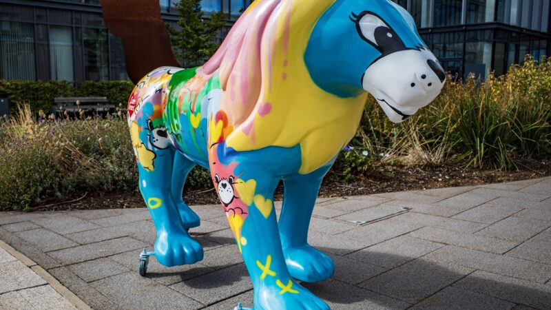 Lions on the Loose Meet the Care Bears™