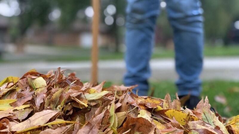 No time to rest – the garden still needs attention