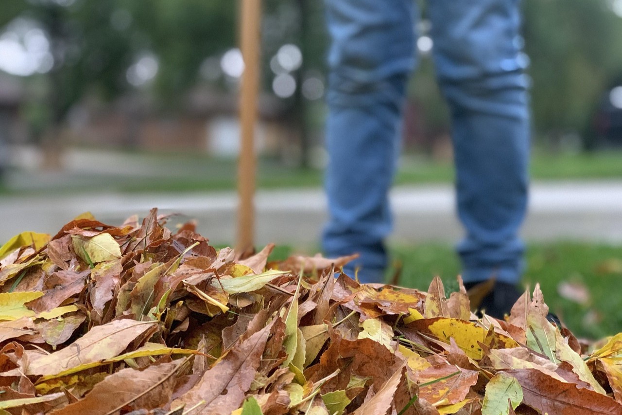 No time to rest – the garden still needs attention