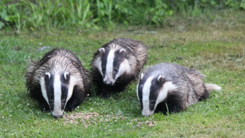 Fancy some February Fresh Air?