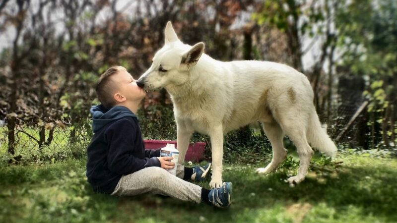 Why big, wet licks from a dog can help a teenager’s mental health