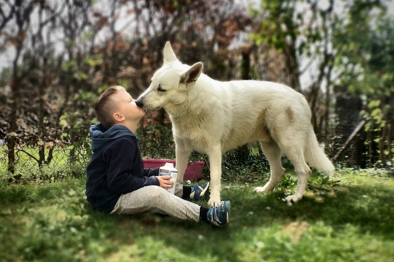 Why big, wet licks from a dog can help a teenager’s mental health