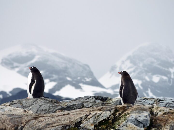 Hot and Cold Climates