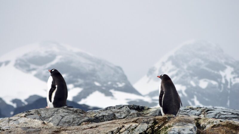 Hot and Cold Climates