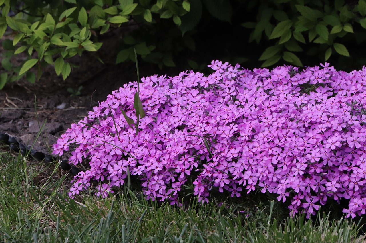 April brings the AGM and colour all around