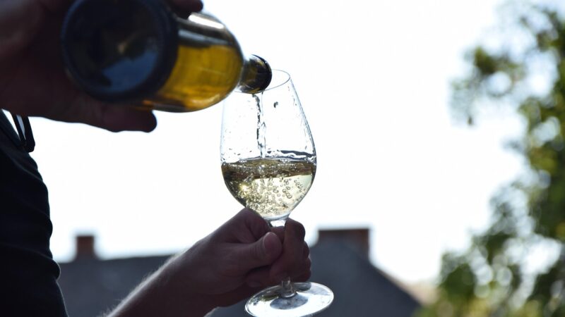 Winemaking – an ancient and emerging industry