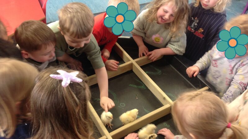 When the Ducklings met the Chicks