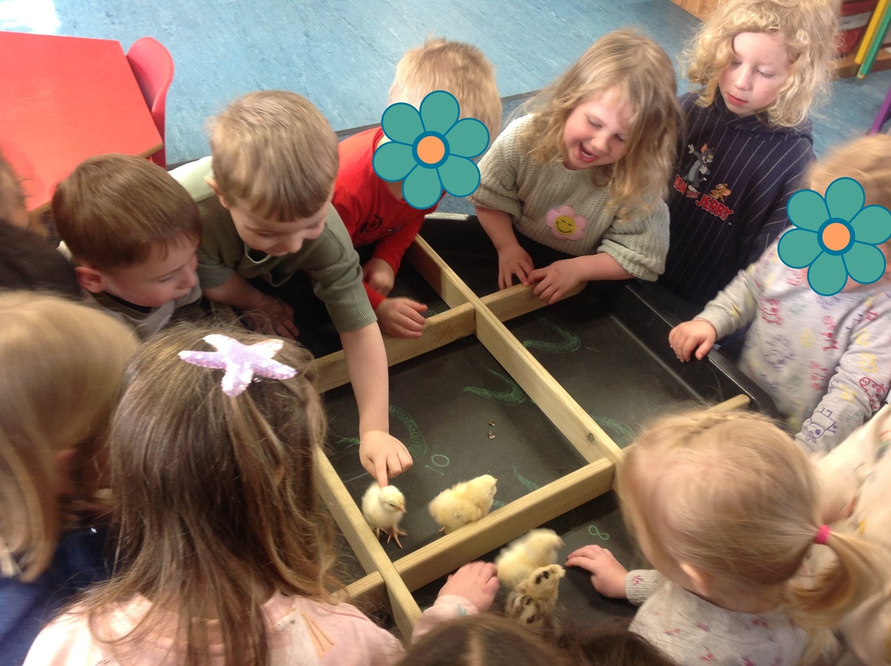 When the Ducklings met the Chicks