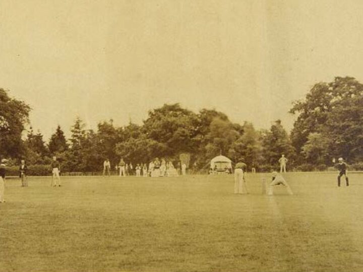 Simply cricket!