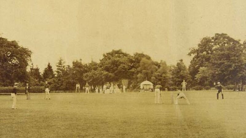 Simply cricket!