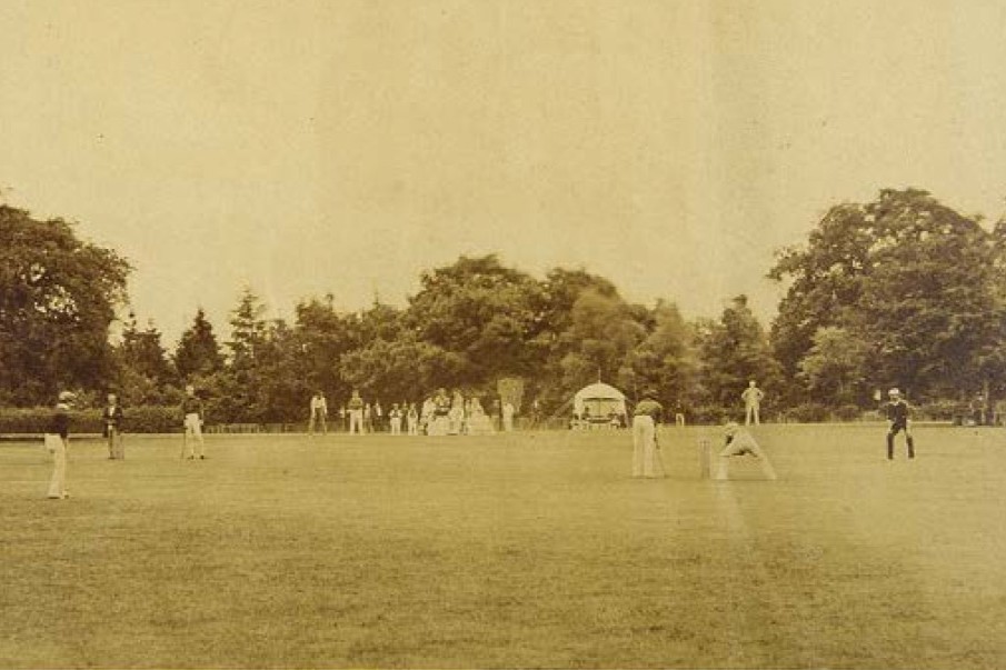 Simply cricket!