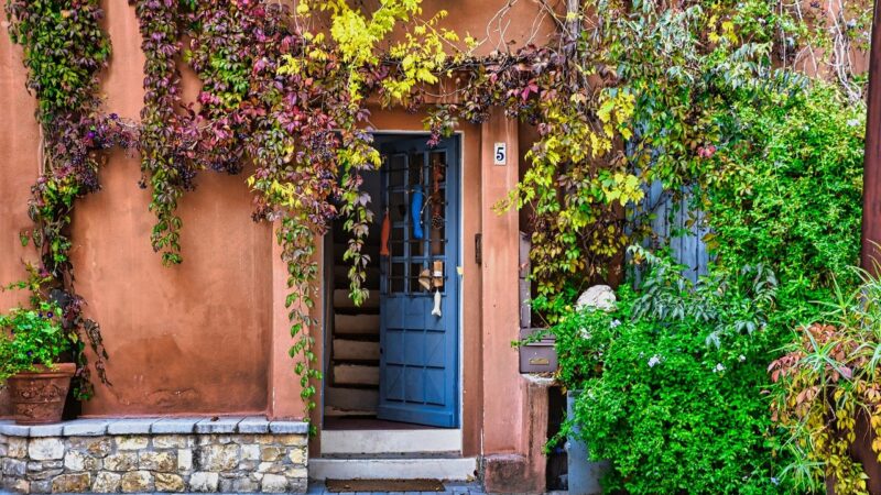 Open House: A Year of Community, Culture, and Connection
