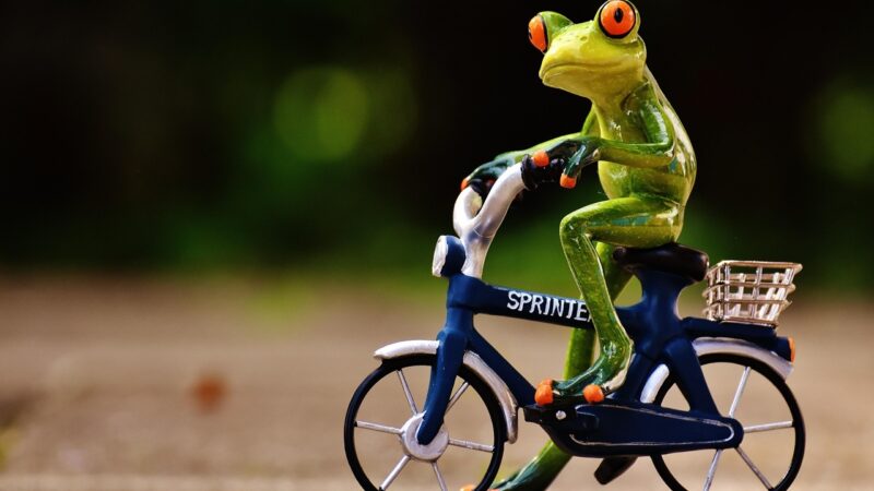 Bike ‘n’ Hike Event 2026