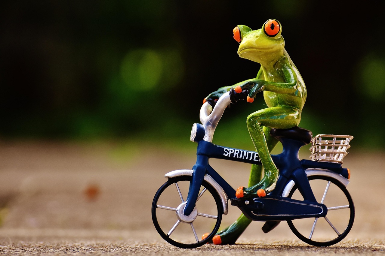 Bike ‘n’ Hike Event 2026