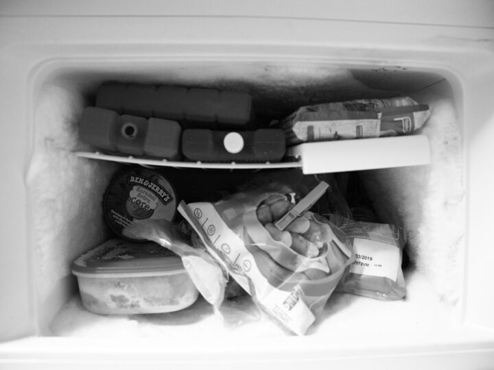 Freezer Labels