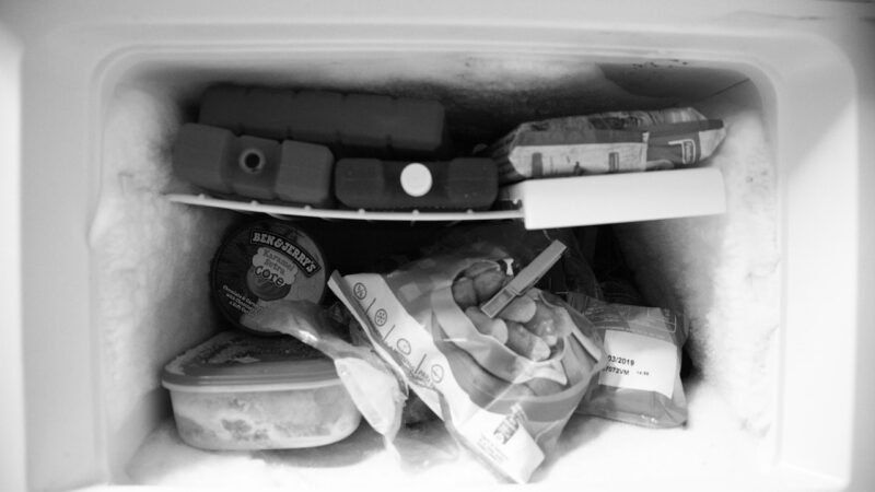 Freezer Labels