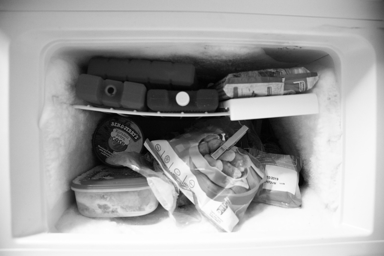 Freezer Labels