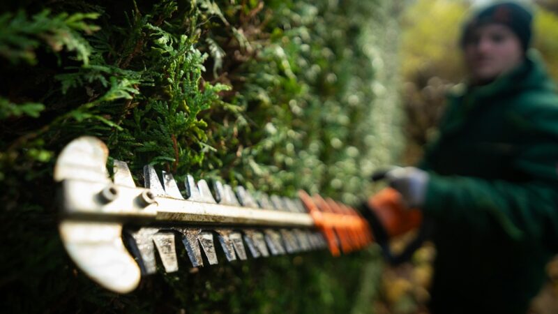 Why it is easy to break the law in your own garden?