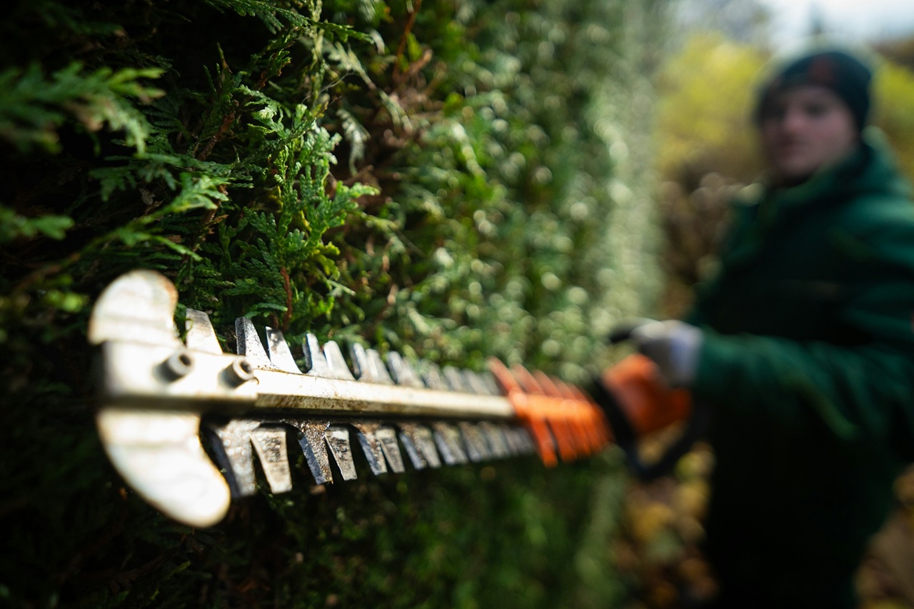 Why it is easy to break the law in your own garden?