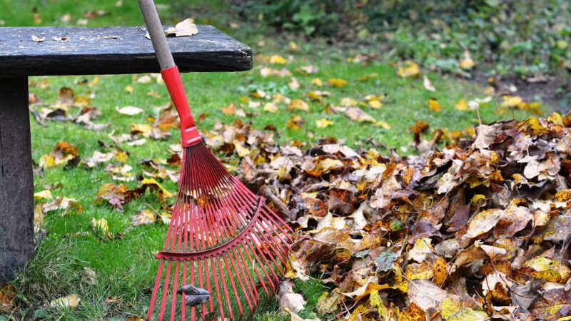 Don’t Overlook the Beauty of Autumn