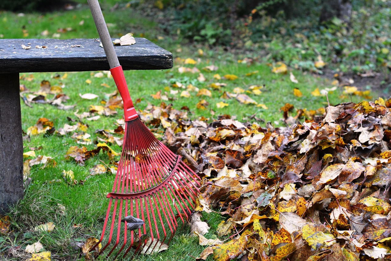 Don’t Overlook the Beauty of Autumn